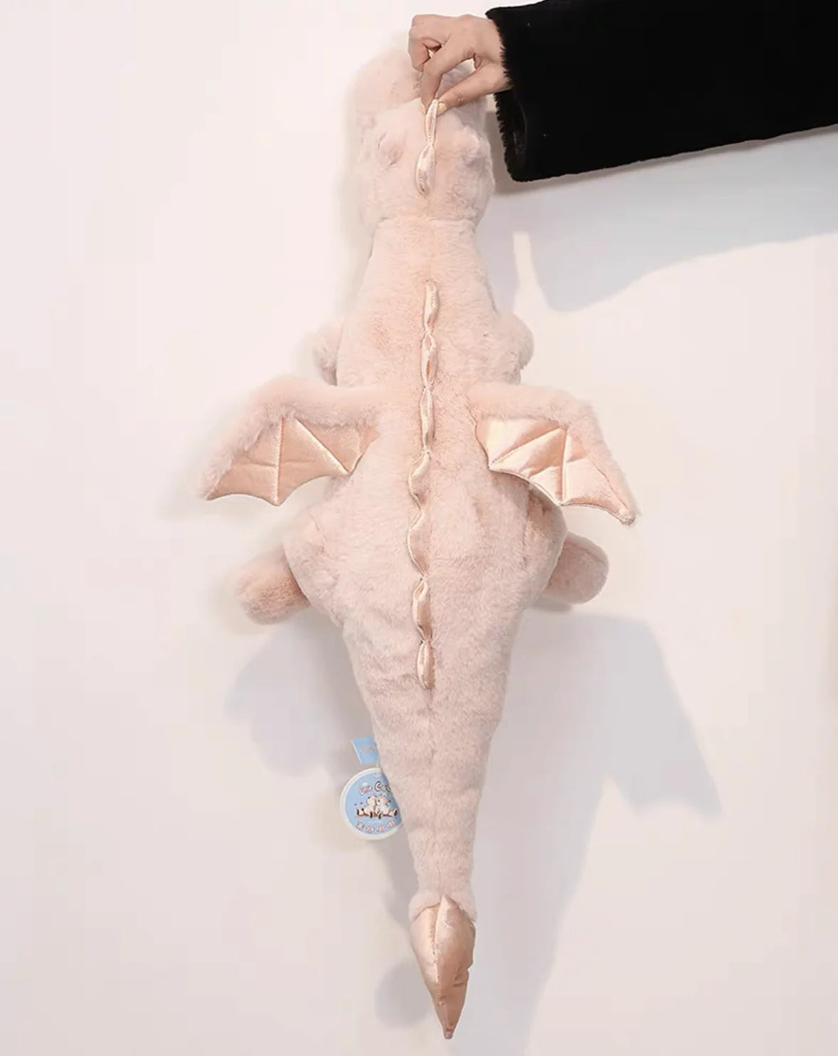 S4ed23232b0554698a57a2855de9df6fbL